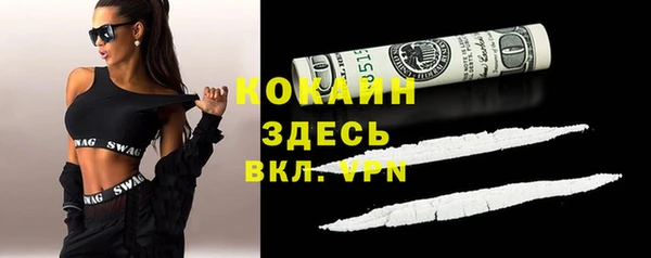 альфа пвп Гусев