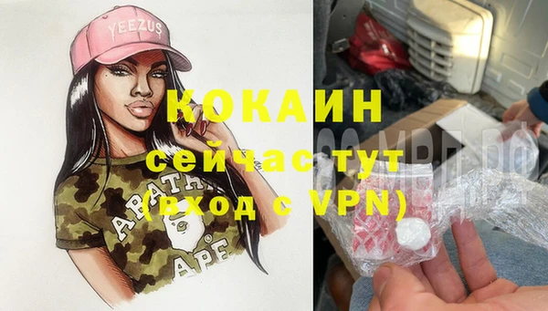 альфа пвп Гусев