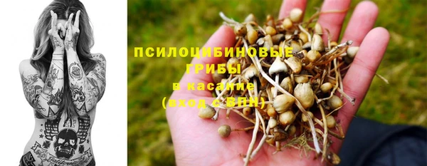 spice Гусь-Хрустальный