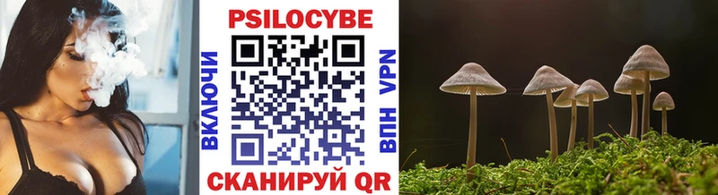 Галлюциногенные грибы Psilocybe  Златоуст 