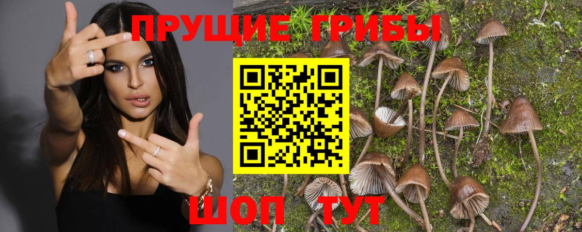 Галлюциногенные грибы Psilocybe  купить закладку  Галлюциногенные грибы Cubensis  Златоуст  Вход с VPN 