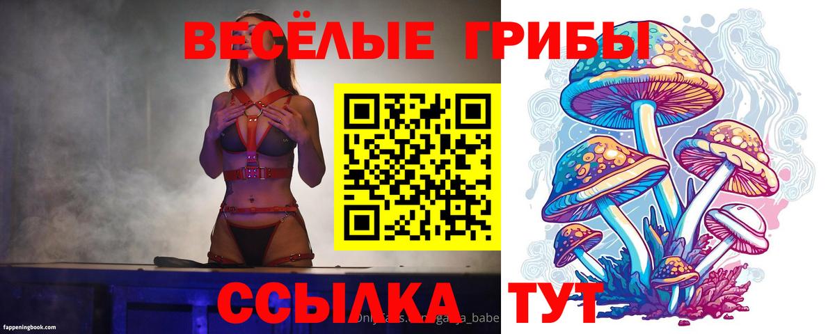 Галлюциногенные грибы MAGIC MUSHROOMS Златоуст